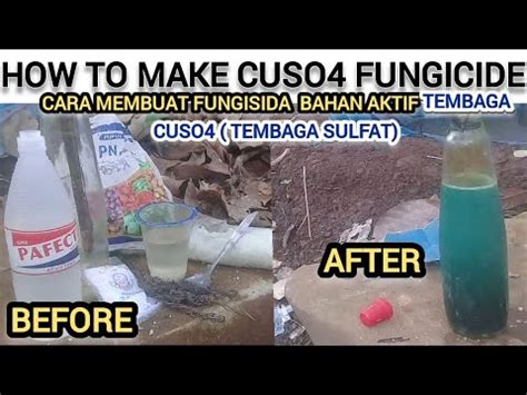 Cara Membuat Fungisida Tembaga yang Mudah dan Efektif